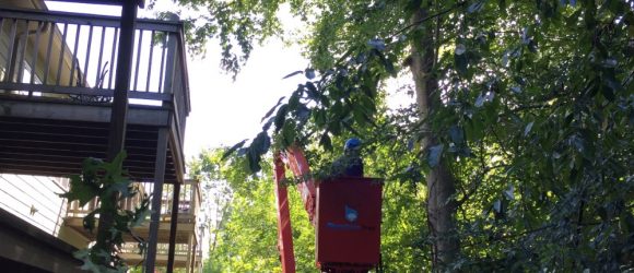 Tree trimming with a crane next to apartment balconies