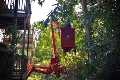 Tree Pruning