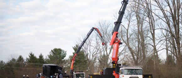 two cranes cutting trees