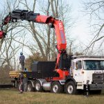 tree service crane ash tree removal