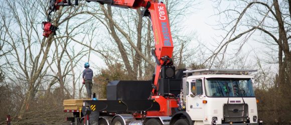 tree service crane ash tree removal