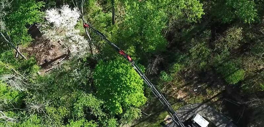 large crane fully extented to remove an ash tree
