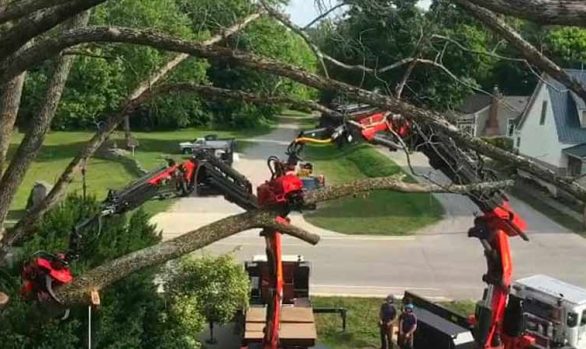 Double Truck Tree Removal in Monroe County [video]