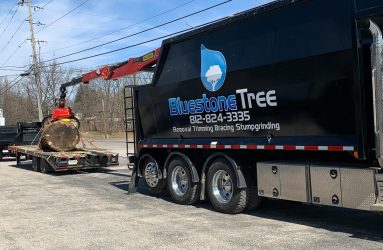 Bluestone Tree loading tree trunk section