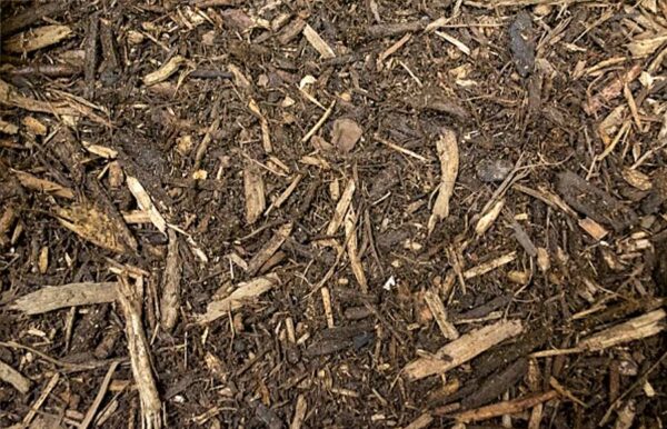 organic mulch closeup