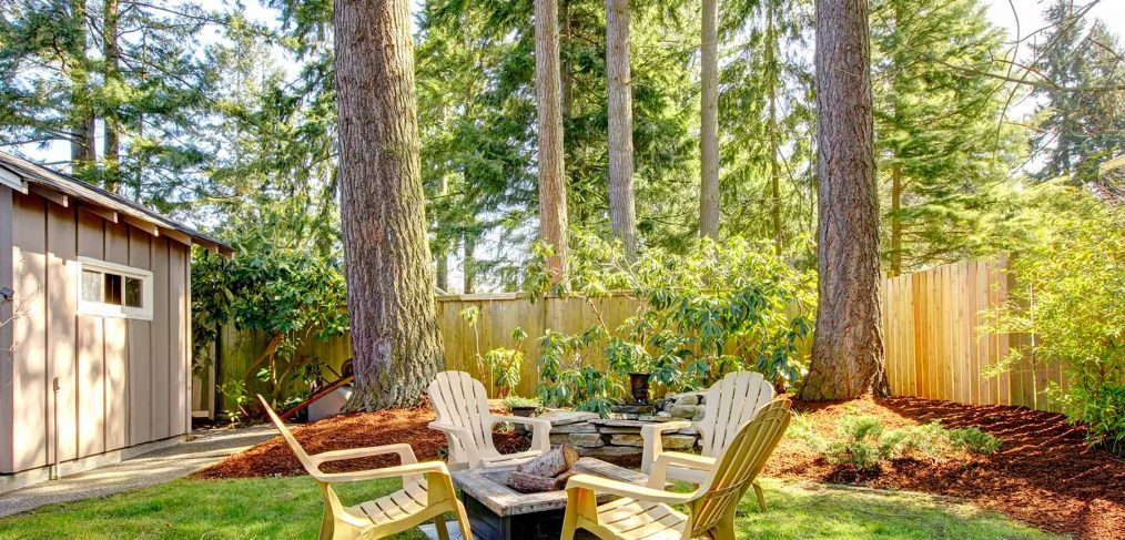 trees with mulch in backyard with small firepit