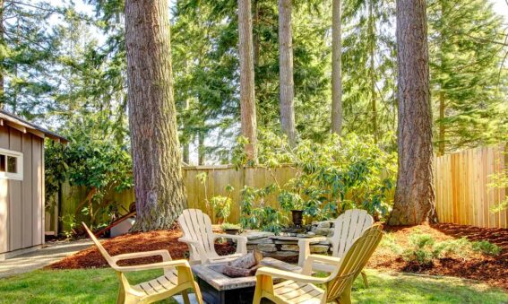 trees with mulch in backyard with small firepit