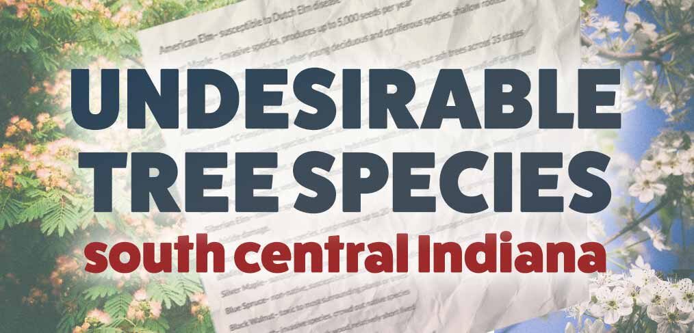 undesireable tree species graphic