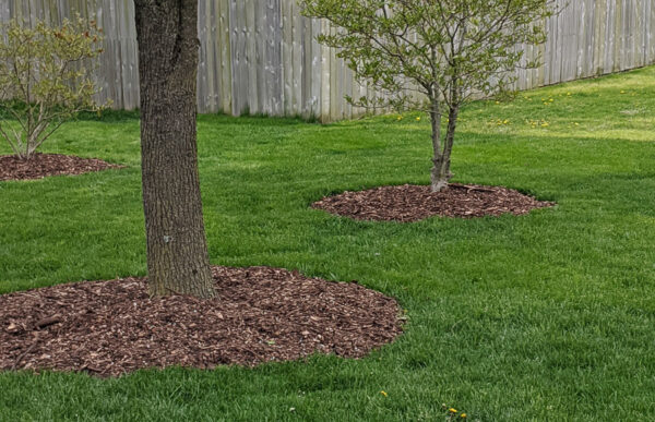 Whole Tree Mulch - Image 2