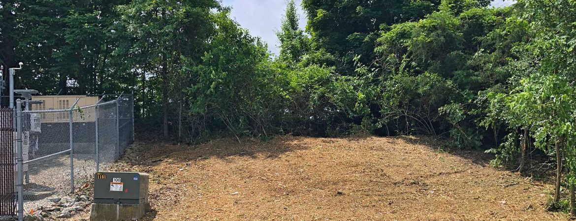 Forestry mulching business tips image