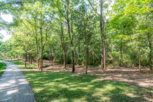 forestry mulching vegetation management results