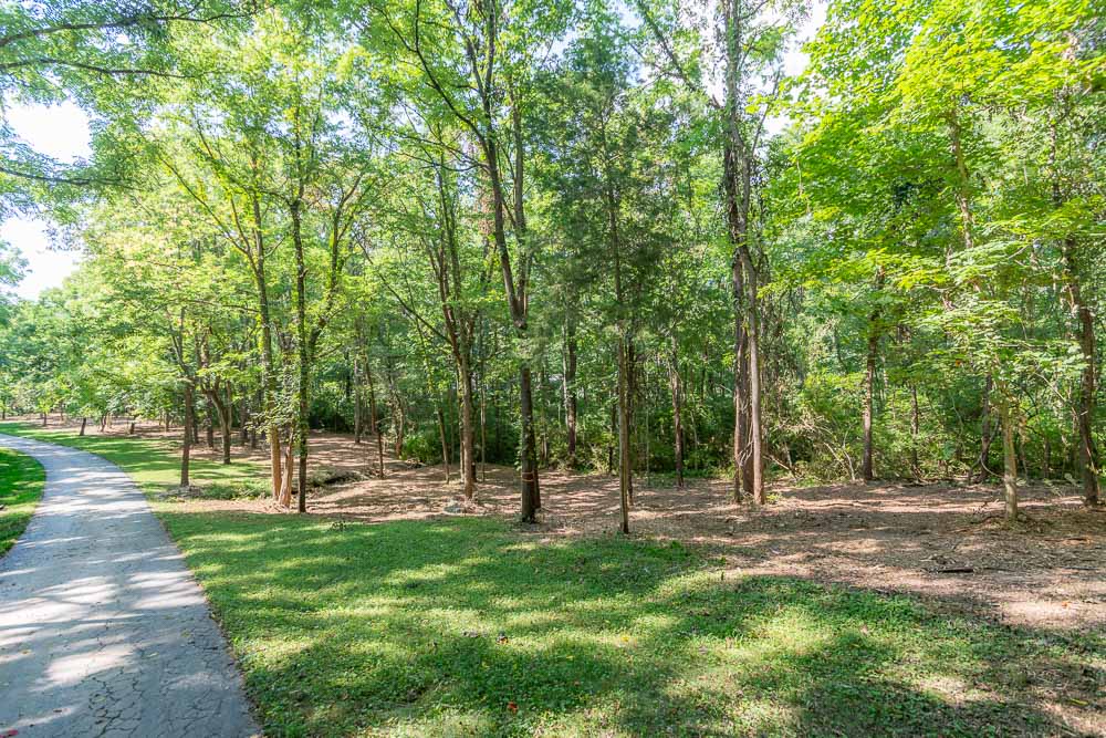 forestry mulching vegetation management results