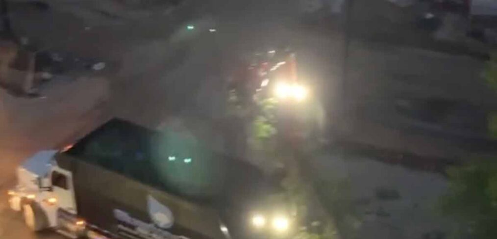 tree removal at night video thumbnail