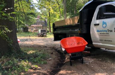 air knife trench filled with soil amendments