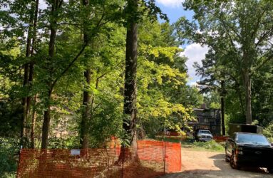 tree protection zone fencing on construction site