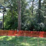 tree protection zone fencing around trees on a build site