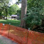 tree protection zone fencing on construction site