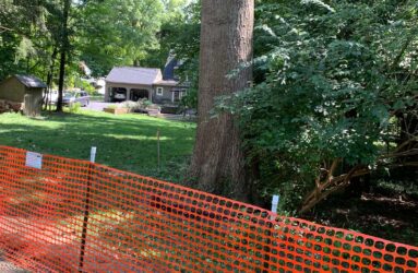 tree protection zone fencing on construction site