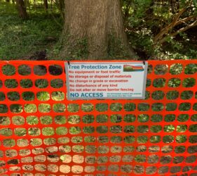 tree protection zone sign and fencing