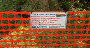 tree protection zone sign and fencing