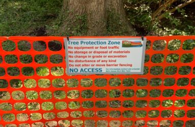 tree protection zone sign and fencing