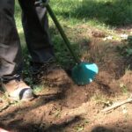 arborist using air knife to cut into the soil