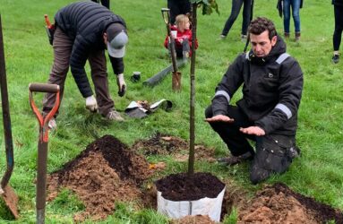 Planting trees with CanopyBloomington