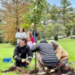 Planting trees with CanopyBloomington