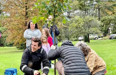 Planting trees with CanopyBloomington