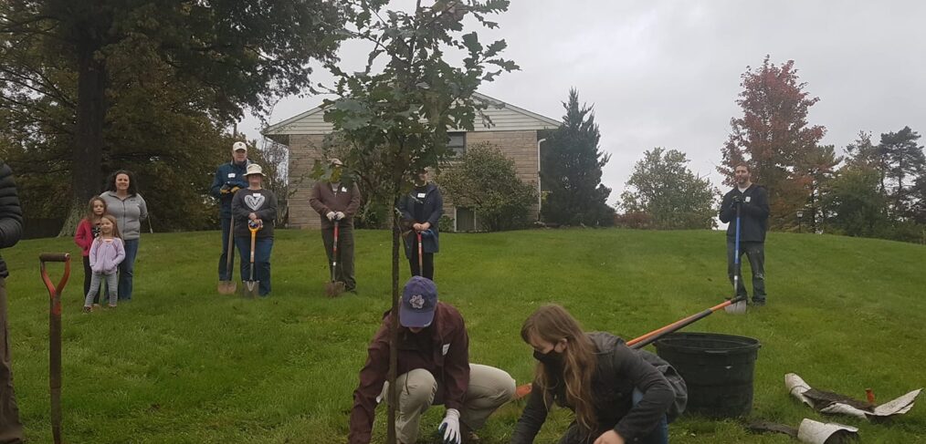 Planting trees with CanopyBloomington