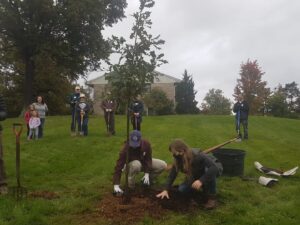 Planting trees with CanopyBloomington
