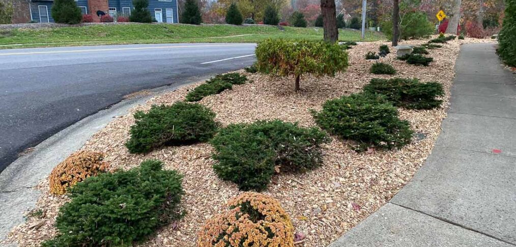 Wood Chips Donated St James Woods Neighborhood-1