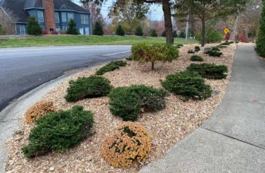A pile of wood chips donated to St. James Woods Neighborhood in Bloomington, IN