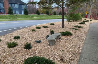 Wood Chips Donated St James Woods Neighborhood-1