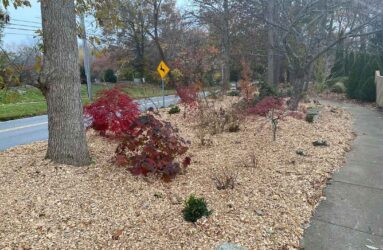 Wood Chips Donated St James Woods Neighborhood-1