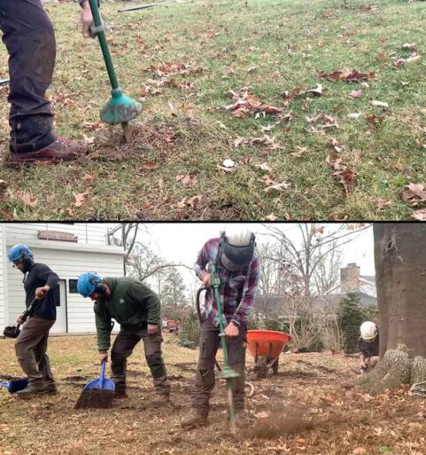 Aerating Compacted Soil Around a Tree [video]