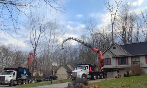 Time-lapse of Tree Removal Using Two Cranes [video]