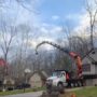Time-lapse of Tree Removal Using Two Cranes [video]