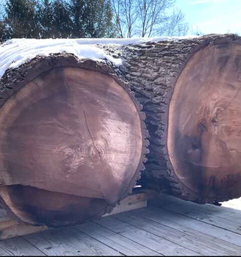 Black Walnut Slabs From 80 Inch Wide Log [video]