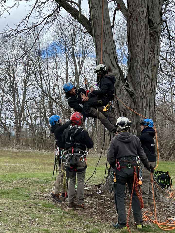 tree profesional safety aerial rescue training (5 of 14)