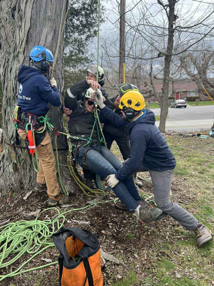 tree profesional safety aerial rescue training (9 of 14)