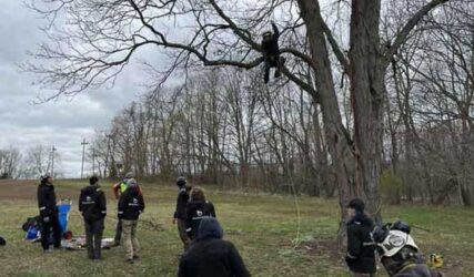 Tree workers learning safe climbing for tree removal in Bloomington, IN