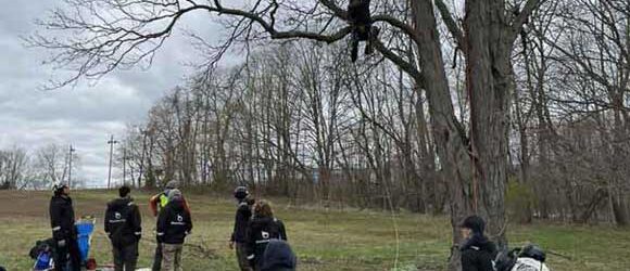 Tree workers learning safe climbing for tree removal in Bloomington, IN