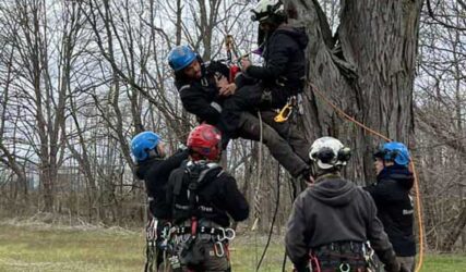 Tree removal safety training session in progress in Bloomington, IN