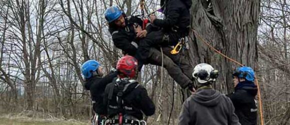 Arborist Performing Safety Training in Bloomington, in