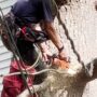 Tree Removal With Communication Lines Up Against The Trunk [VIDEO SHORT]