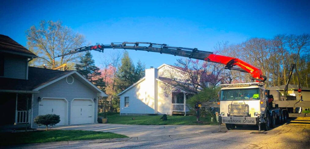 tree removal service crane Bluestone Tree