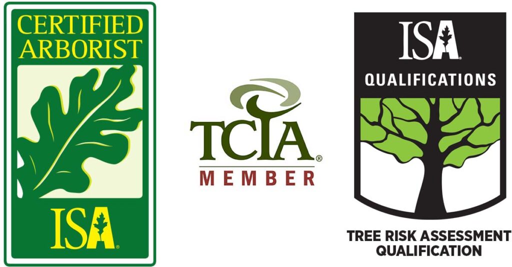 isa certified arborist - tcia member - tree risk assessment qualifications