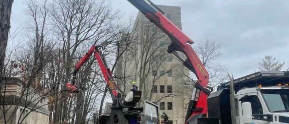 Crane and log mek during dead oak tree removal