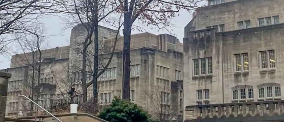 dead oak tree on Indiana University campus